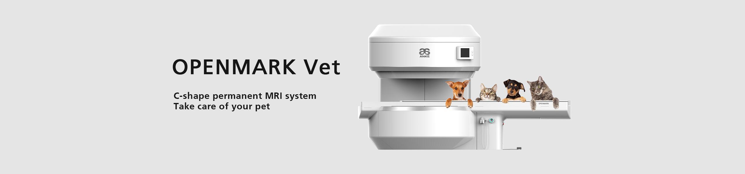 Permanent MRI System for vet