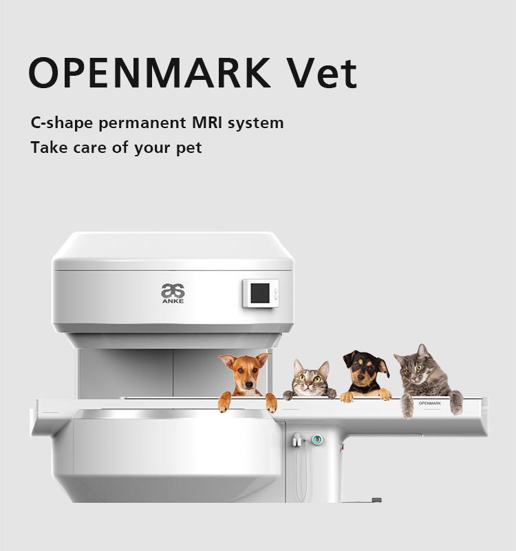 Permanent MRI System for vet