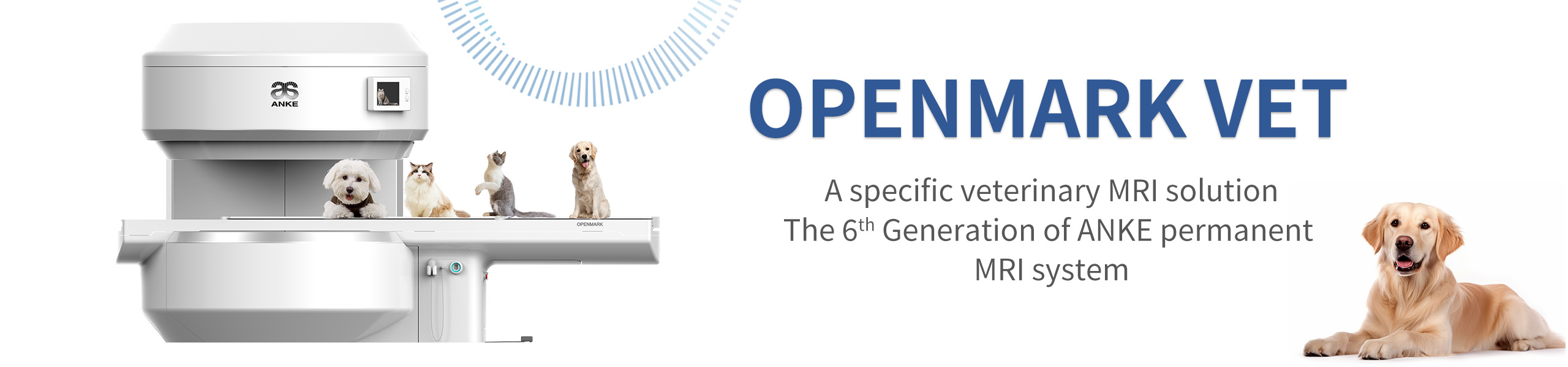 Système d'IRM permanent